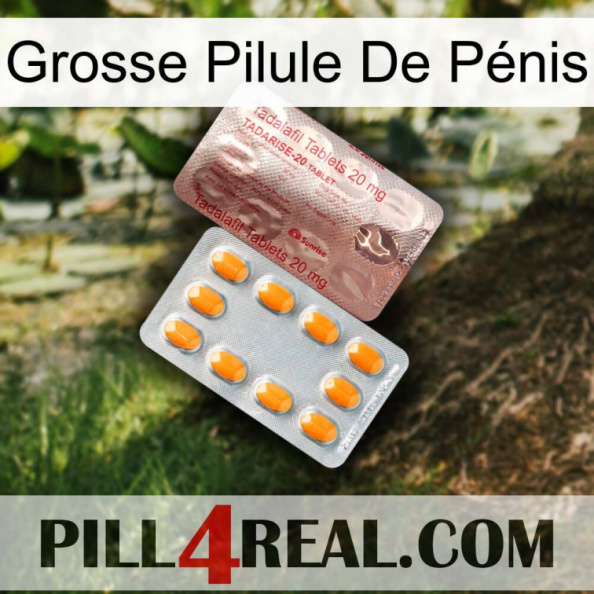 Grosse Pilule De Pénis new13